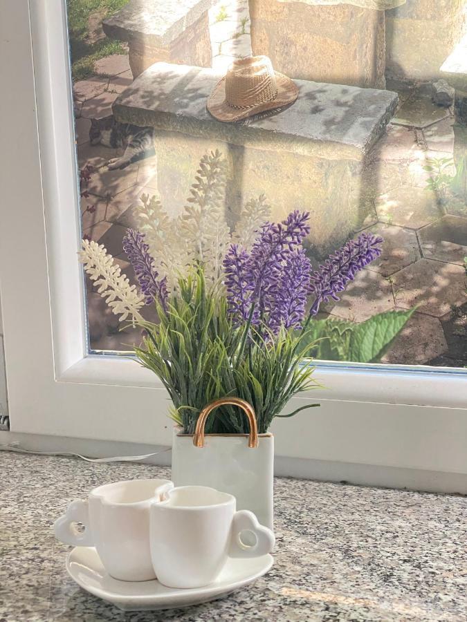 Apartment Alina Cadegliano Viconago المظهر الخارجي الصورة